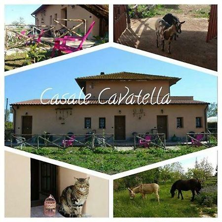 Bed and Breakfast Casale Cavatella Сермонета Екстер'єр фото